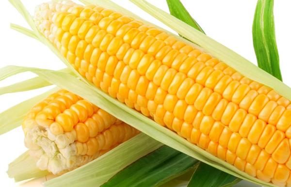 Uncovering the 8 Incredible Benefits of Eating Corn