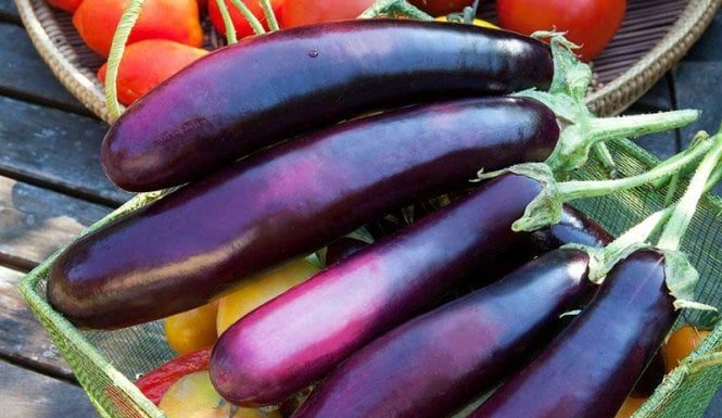 A miraculous fruit found abundantly in Vietnamese markets: The “wonder drug” for lowering blood sugar and rejuvenating the body