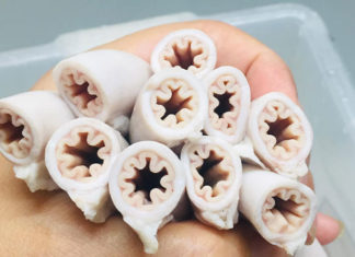 Cost-Effective Ways to Prepare “Lòng se di?u” – Recipe & Cooking Tips