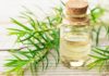 Home Remedies for Raised Scars Using Tea Tree Essential Oil