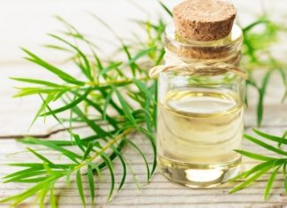 Home Remedies for Raised Scars Using Tea Tree Essential Oil