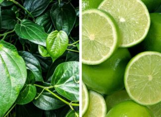 Cost-Effective Beauty Tips Using Betel Leaves