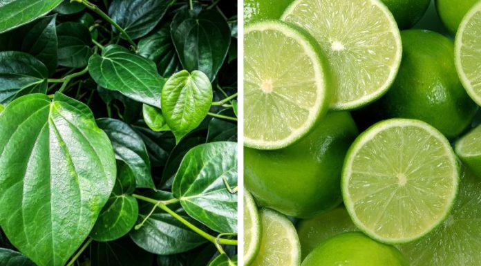 Cost-Effective Beauty Tips Using Betel Leaves