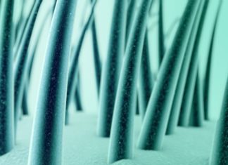 “Dandruff Be Gone! How to Use Pink Salt Shampoo”