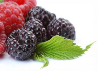 The Benefits of Black Foods for Kidney Health: Top Black Foods for a Healthy Kidney.