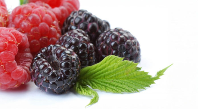 The Benefits of Black Foods for Kidney Health: Top Black Foods for a Healthy Kidney.