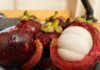 How to choose delicious mangosteens by looking at one spot on the skin