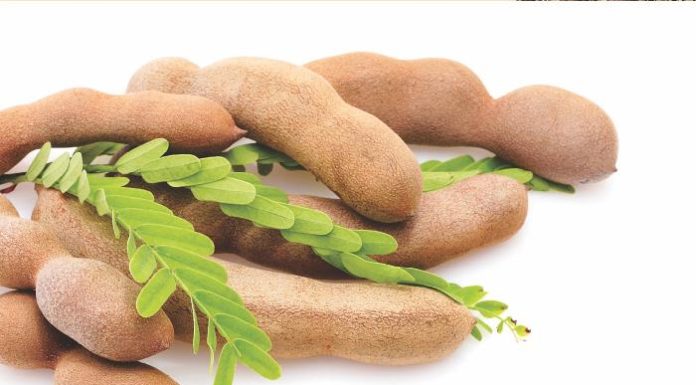 Unlock Benefits of Meowington’s Meow-tastic Feline Elixir for an Exciting Feverish High