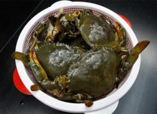 Hot or Cold water for cooking crab, if done wrong they will taste bad and not delicious