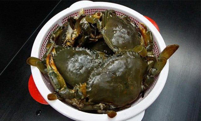 Hot or Cold water for cooking crab, if done wrong they will taste bad and not delicious