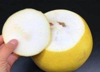 Peel a grapefruit quickly and effortlessly with just a spoon: No more sore hands, no more smashed sections