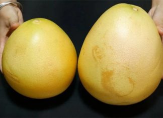 The Ultimate Guide to Picking the Perfect Pomelo: Unveiling the Secrets to Finding the Sweetest, Most Delicious Fruit with the Thinnest Skin