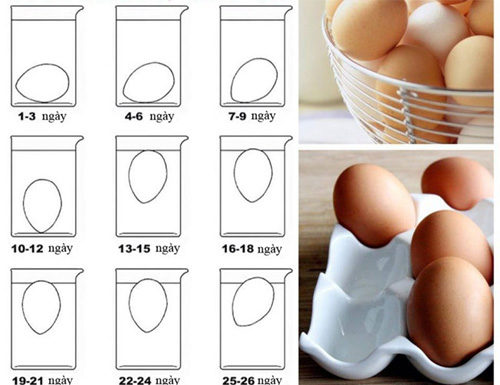Choose Fresh and Delicious Eggs with Just 1 Simple Step – the Secret No Egg Seller Will Reveal