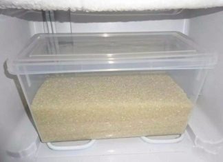 Buy plenty of rice, add this right away, ensure no mold, bugs for a whole year