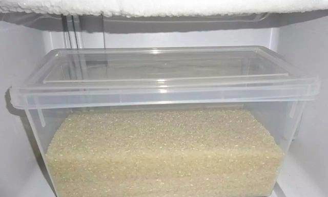 Buy plenty of rice, add this right away, ensure no mold, bugs for a whole year