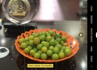 10 Tips to Create Stunning Photos with an iPhone: What You Need to Know