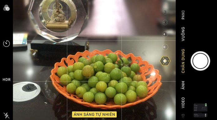 10 Tips to Create Stunning Photos with an iPhone: What You Need to Know