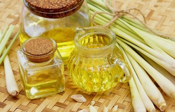 The Ultimate Guide to Natural Fly Repellents: Simple Solutions for a Pest-Free Home