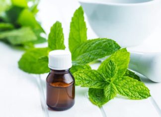 Strategies to Keep Flies, Ants, Cockroaches, and Other Indoor Insects Away