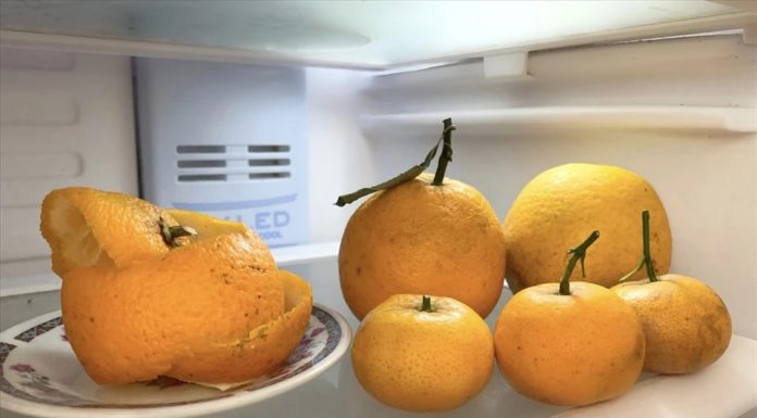 3 Simple Tips to Keep Your Refrigerator Fresh Without Regular Cleaning