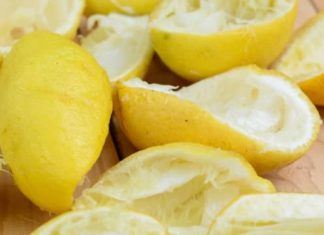 Lemon Peel Soak: A Safe and Cost-effective Solution to Deter Ants.