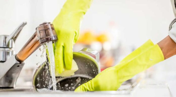 5 Ways to Preserve Food Freshness on Hot, Sunny Days