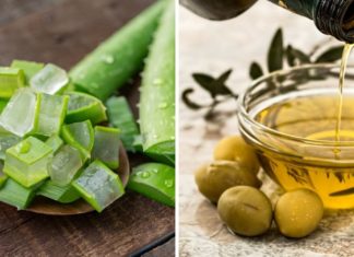 Using Aloe Vera and Olive Oil to Help Combat Hair Loss