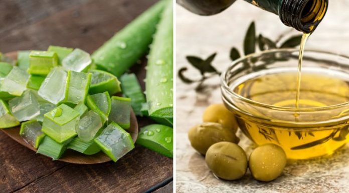 Using Aloe Vera and Olive Oil to Help Combat Hair Loss
