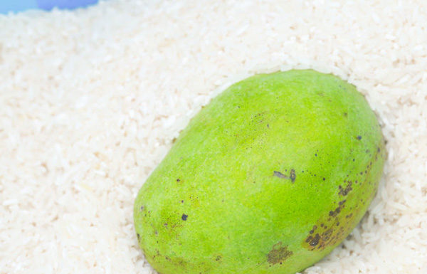 Put mangoes in the rice barrel, an ancient trick that modern women may not know.