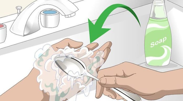 5 Quick Tips to Get Rid of Garlic Smell on Your Hands Instantly