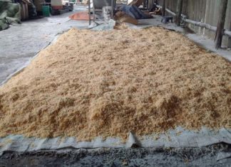 Tips for Identifying Cotton Candy Quickly and Accurately