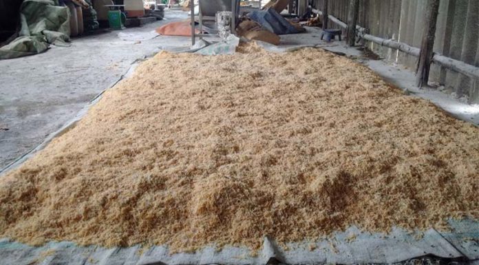 Tips for Identifying Cotton Candy Quickly and Accurately