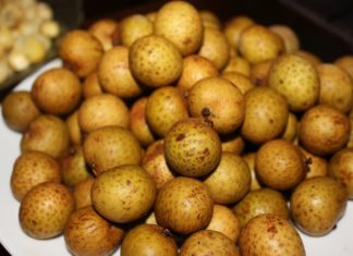 Identifying the Differences Between Hung Yen and Chinese Longan