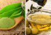 Using Green Tea Powder and Olive Oil for Tackling Pre-matured Gray Hair