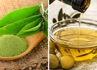Using Green Tea Powder and Olive Oil for Tackling Pre-matured Gray Hair