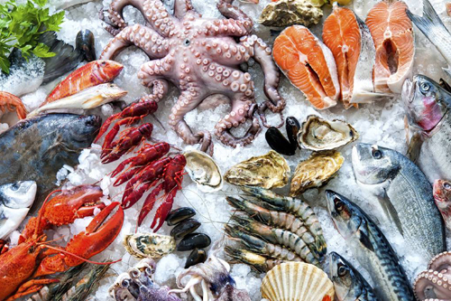 Choosing High-Quality Seafood for Maximum Taste