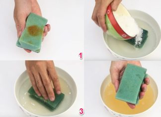 Tricks to Unlock the Potential of Salt: 12 Essential Tips