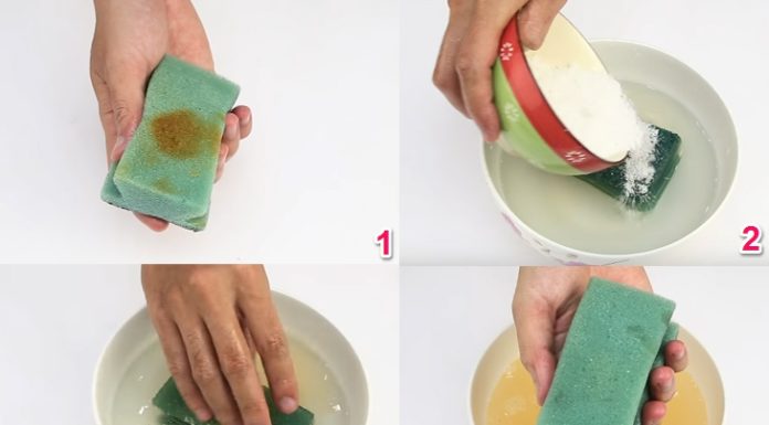 Tricks to Unlock the Potential of Salt: 12 Essential Tips