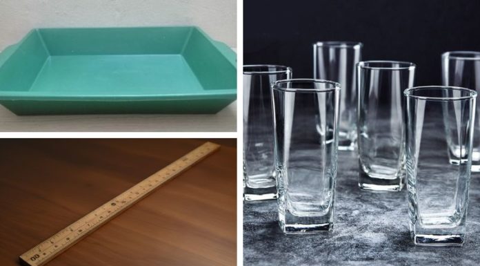 How to Protect Your Laptop from Ants: Quick Tips