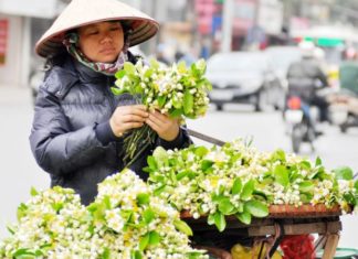 Revealing the Delectable Mystery of Grapefruit Salad