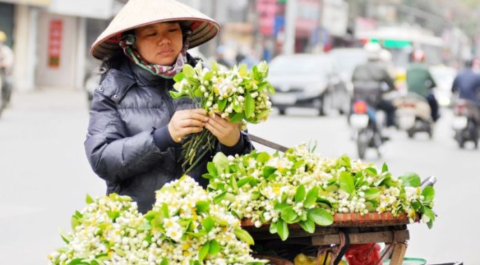 Revealing the Delectable Mystery of Grapefruit Salad