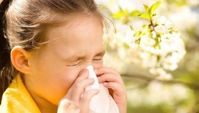 3 Nourishing Porridge Types to Prevent Illness in Spring