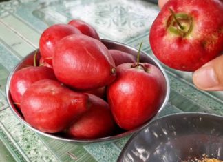 Tantalizing Cuisine from the West – Unveiling its Rosy Delicacies