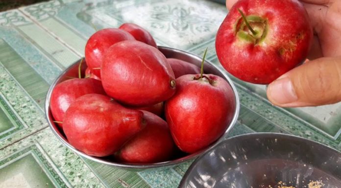 Tantalizing Cuisine from the West – Unveiling its Rosy Delicacies