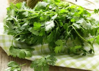 Surprising High Vitamin C Content Found in This Unexpected Vegetable: 5 Times More Than Oranges