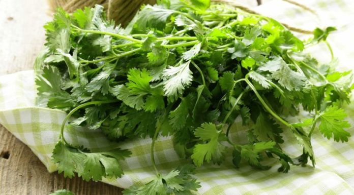 Surprising High Vitamin C Content Found in This Unexpected Vegetable: 5 Times More Than Oranges