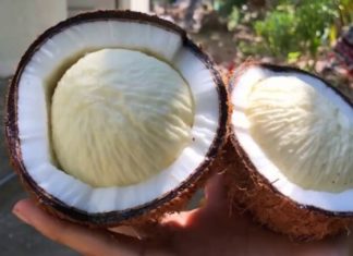 Scarcity of Fruit in Rural Areas Makes it Expensive and Difficult to Source