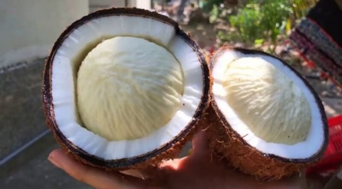 Scarcity of Fruit in Rural Areas Makes it Expensive and Difficult to Source