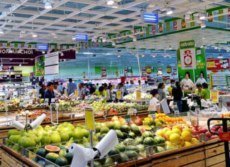 Exploring Cost-Effective and High-Quality Cassava in Ho Chi Minh City, Vietnam