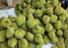 Know When Durian Season Begins and Ends in Singapore